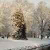 Schlosspark im Winter